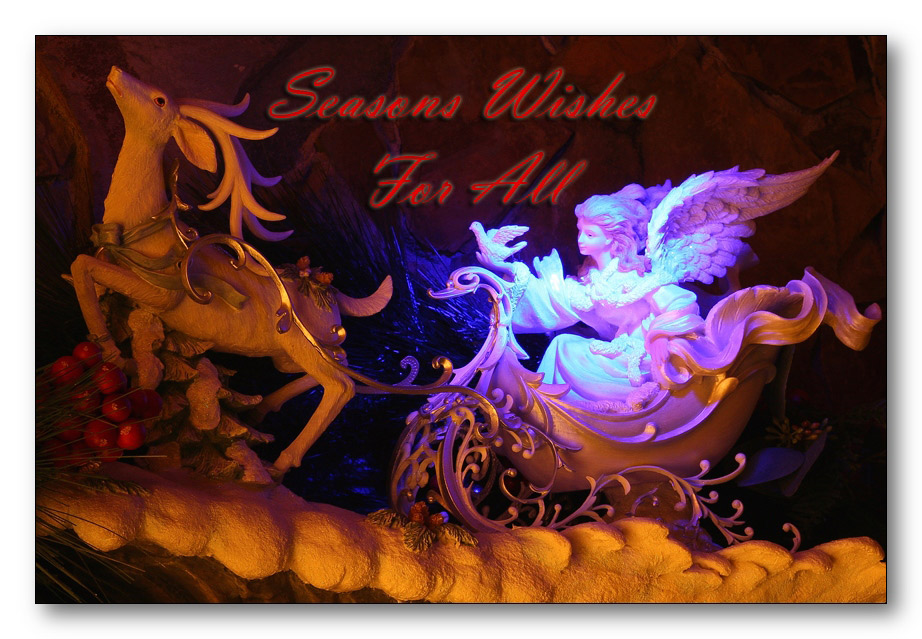 Photography by whlutz for DesignCrowd (Community Contests) | Design #8996013