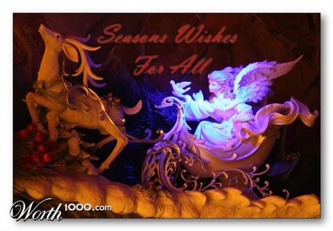 Photography by whlutz