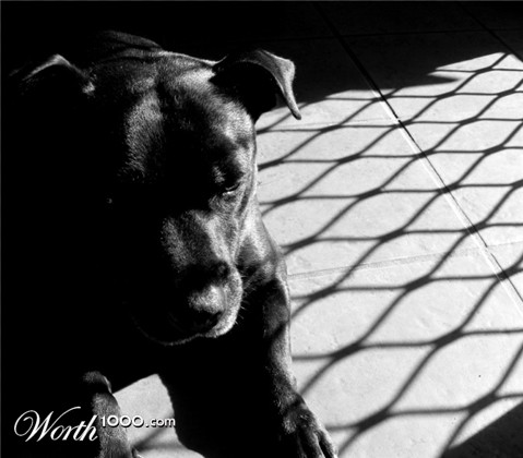 Photography by shoz95