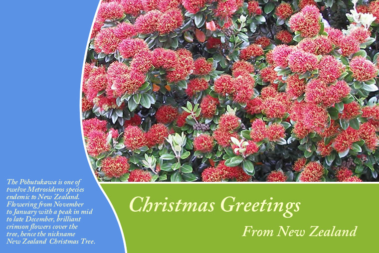 Photography by Andromeda5000 for DesignCrowd (Community Contests) | Design #8996010