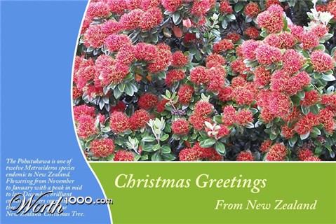 Photography by Andromeda5000