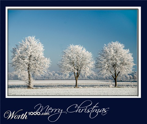 Photography by Marian