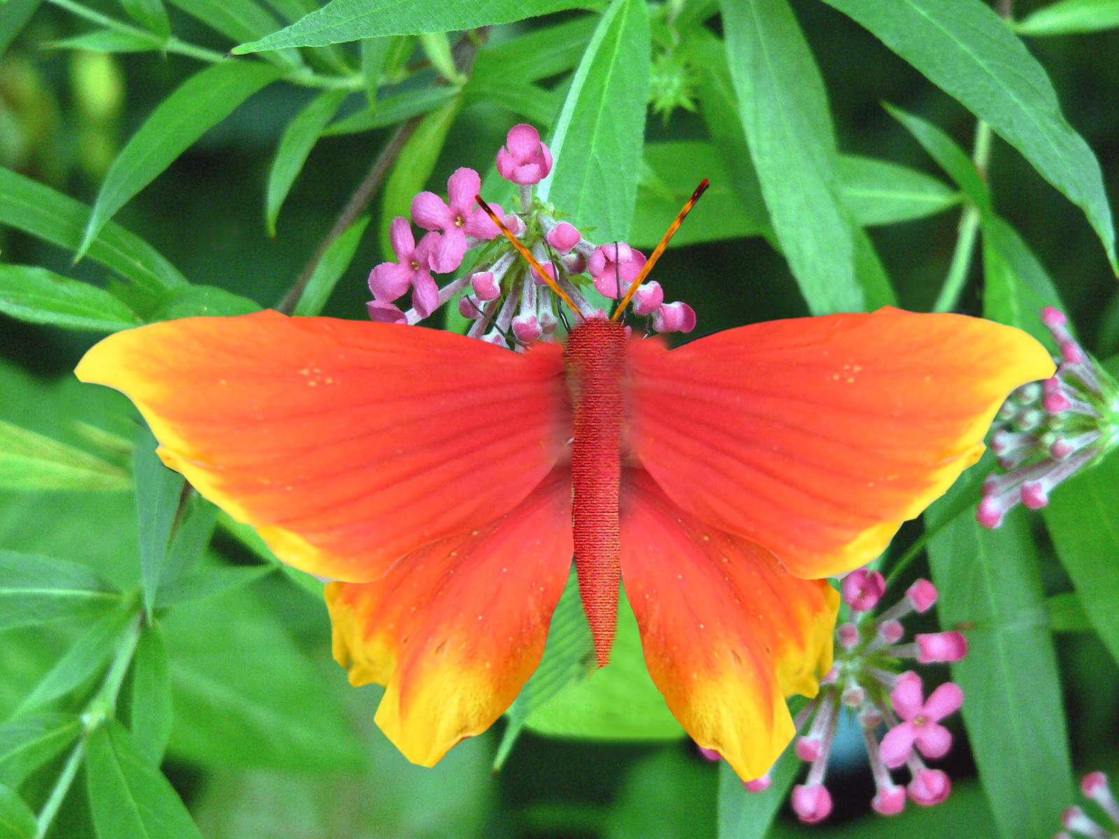 Photoshop Design by poomagal for DesignCrowd (Community Contests) | Design #8995061