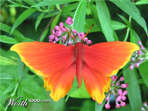 Photoshop Design by poomagal