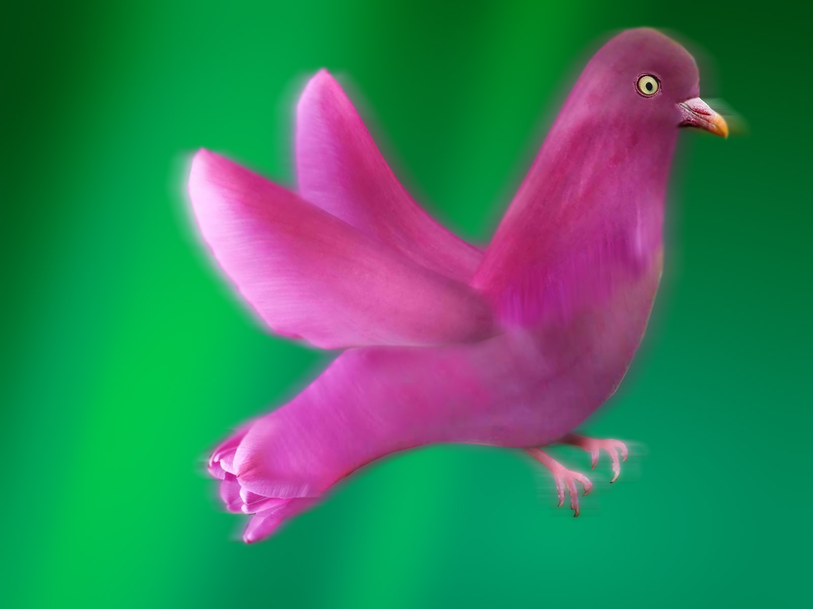 Photoshop Design by Mathmagic for DesignCrowd (Community Contests) | Design #8995065