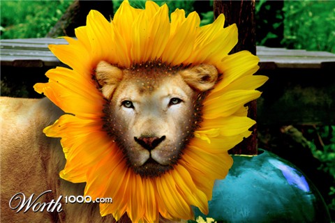 Photoshop Design by Anarch