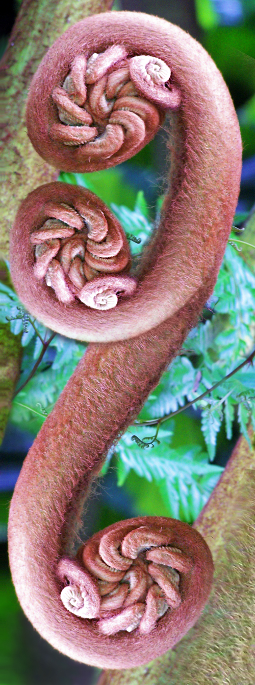 Photoshop Design by mzpresto for DesignCrowd (Community Contests) | Design #8993547