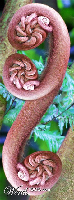 Photoshop Design by mzpresto