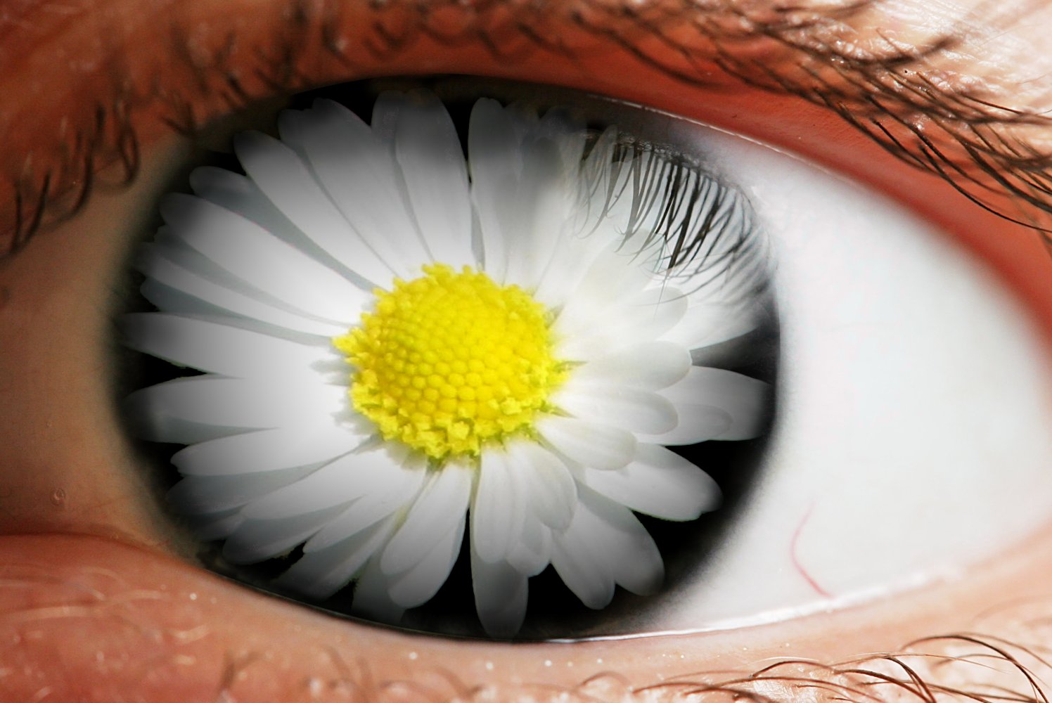 Diseño de Photoshop por reliable para DesignCrowd (Community Contests) | Diseño #8995071