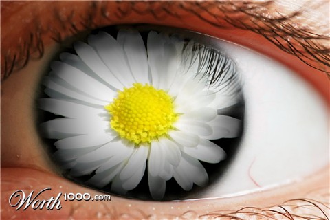 Photoshop Design by reliable