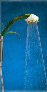 Photoshop Design by Sheshrrg