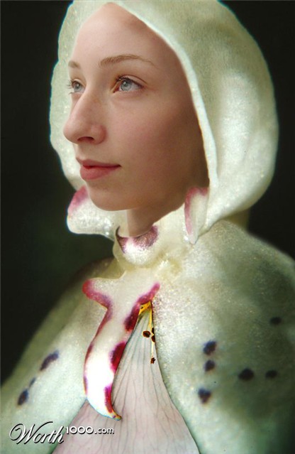 Photoshop Design by Disaia