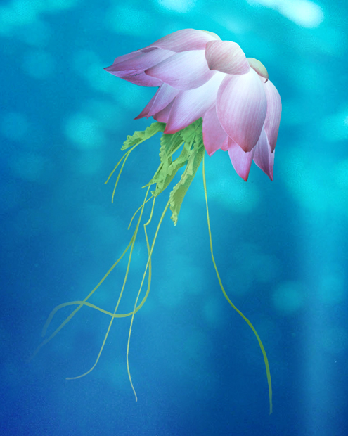 Diseño de Photoshop por Fidget86 para DesignCrowd (Community Contests) | Diseño #8995073