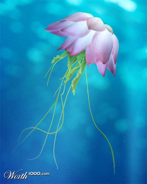 Photoshop Design by Fidget86