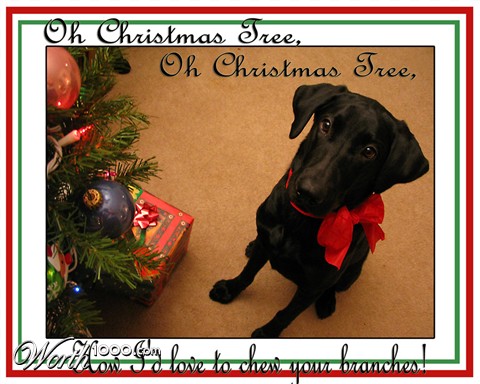 Photography by clb1122