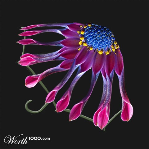 Photoshop Design by kwize53