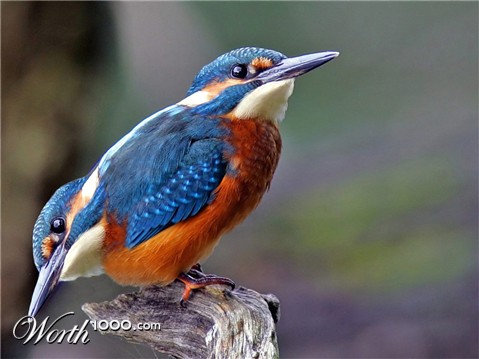 Photoshop Design by underworth