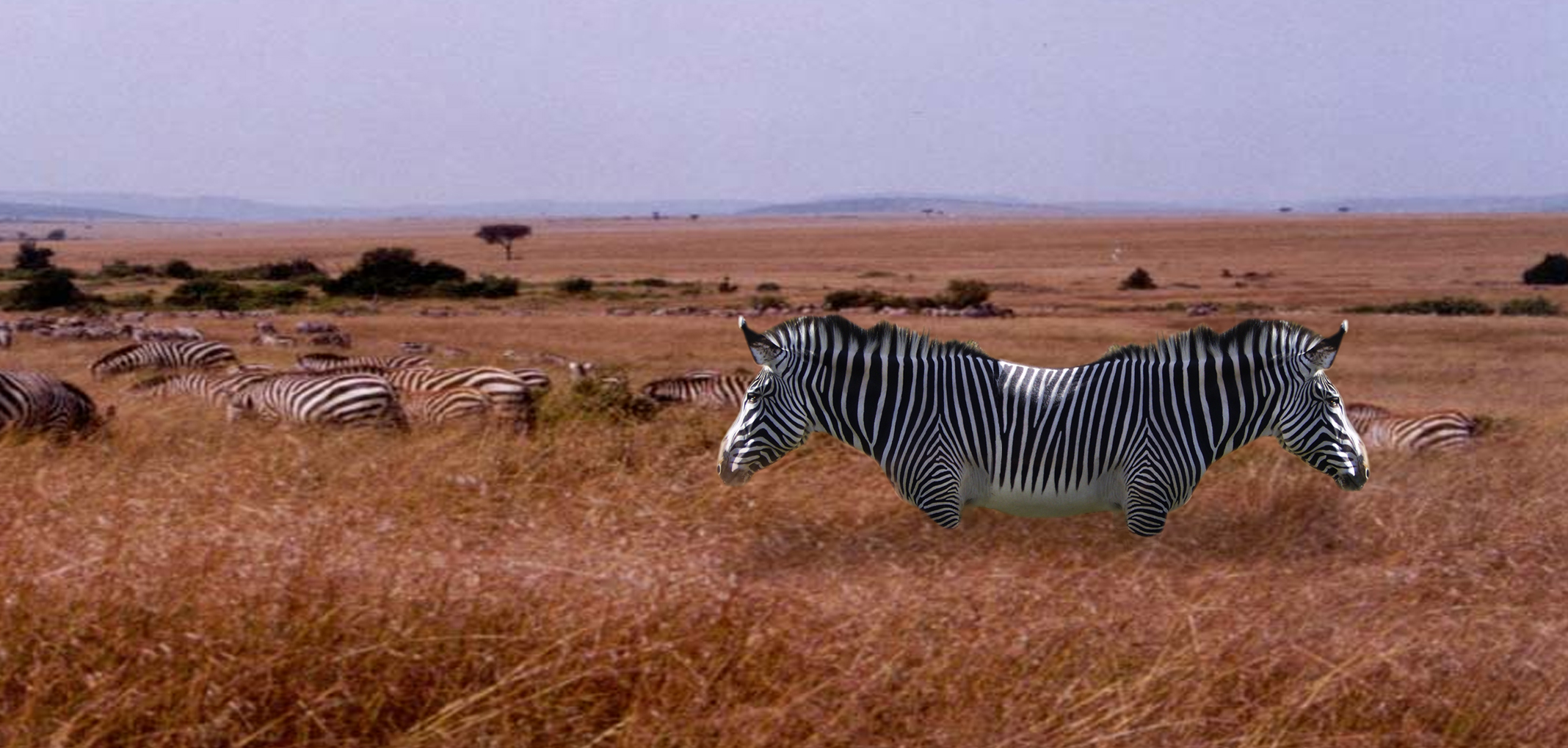 Diseño de Photoshop por levithemagicguy para DesignCrowd (Community Contests) | Diseño #8993590