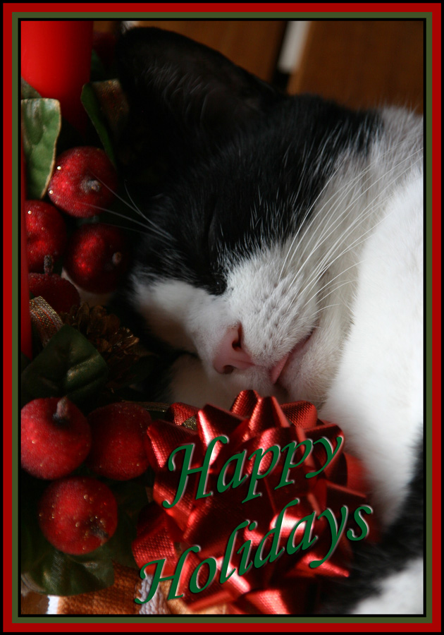 Fotografie von JillianRed für DesignCrowd (Community Contests) | Design #8996116