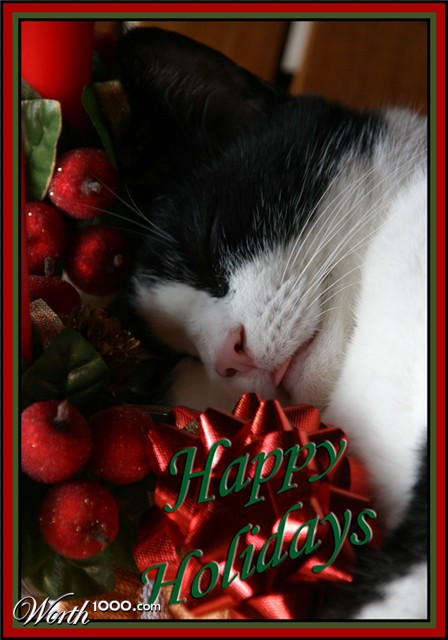 Photography by JillianRed