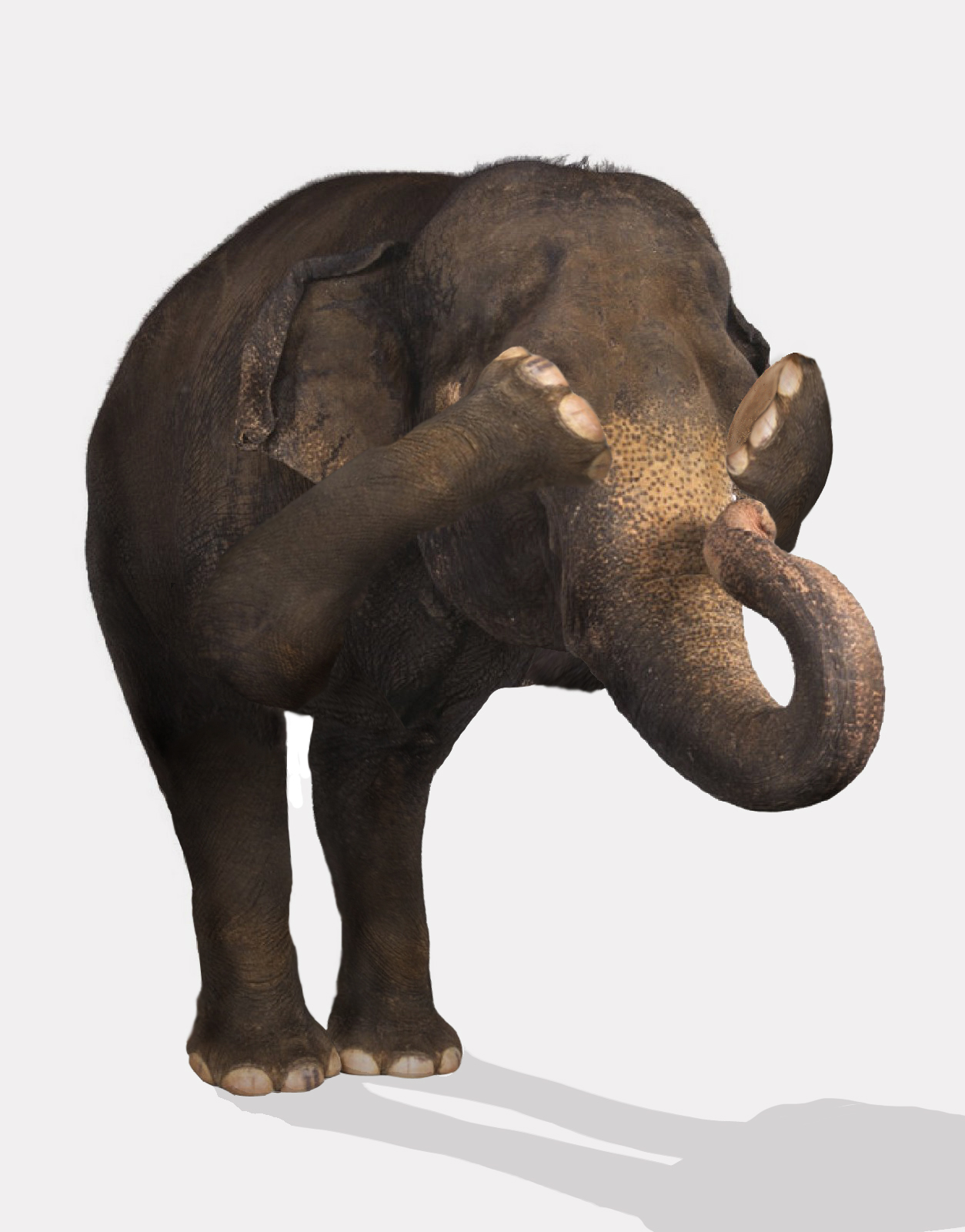 Photoshop Design by denniswitjes for DesignCrowd (Community Contests) | Design #8993302