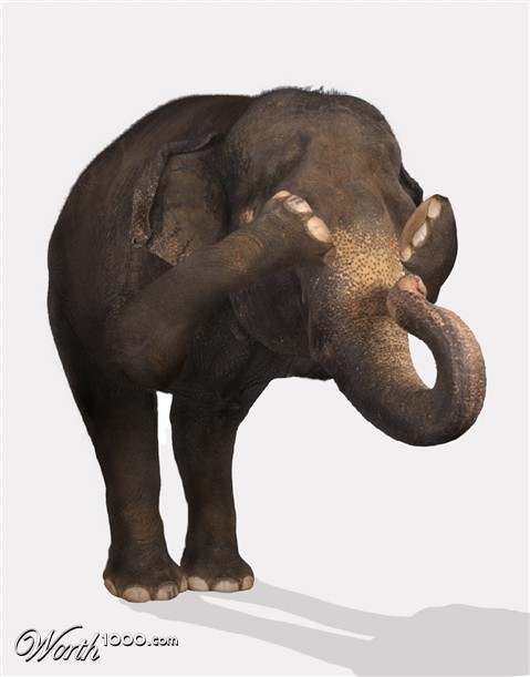 Photoshop Design by denniswitjes