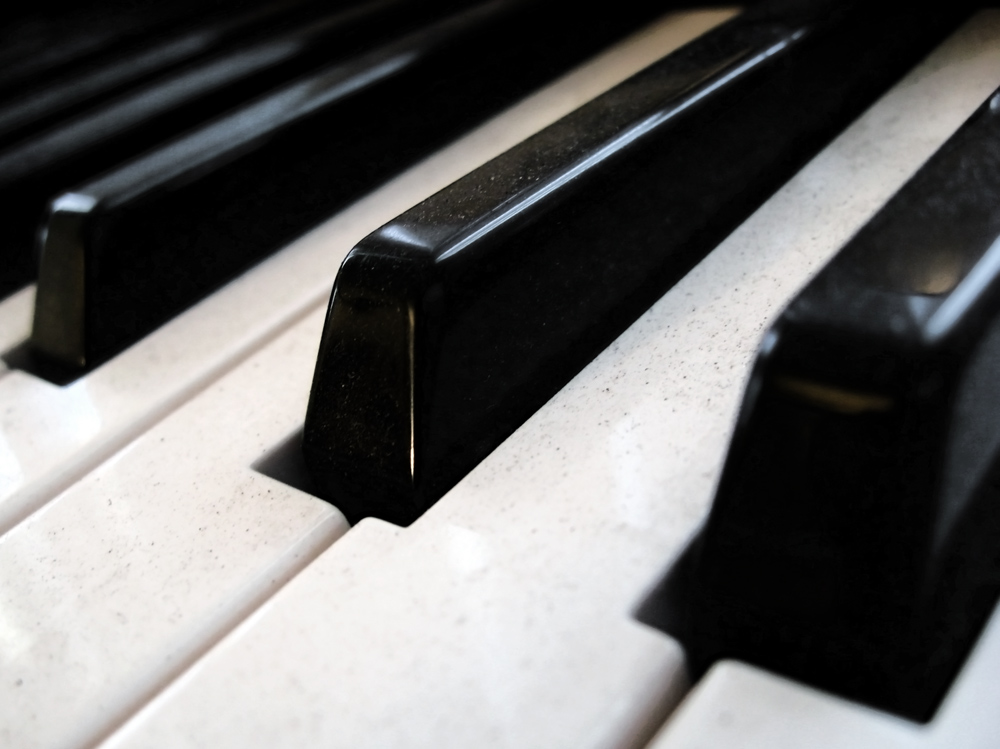 Photography by A1A1L1O1A1A1M2 for DesignCrowd (Community Contests) | Design #8988952