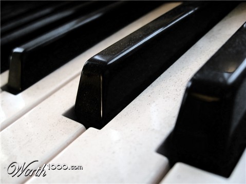 Photography by A1A1L1O1A1A1M2