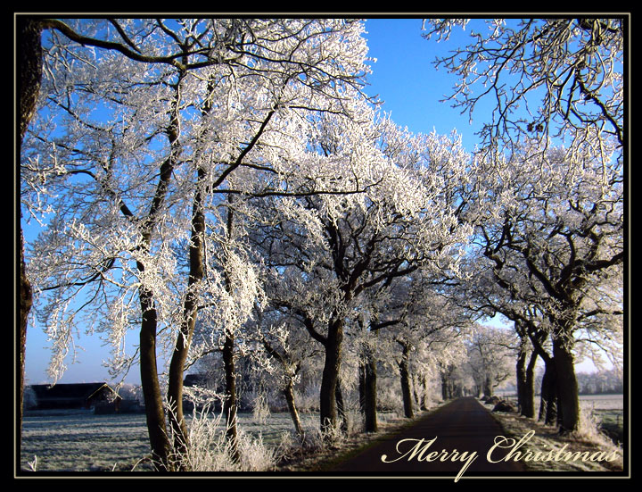 Photography by 0kuper0 for DesignCrowd (Community Contests) | Design #8996105