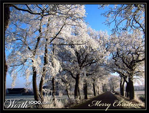 Photography by 0kuper0