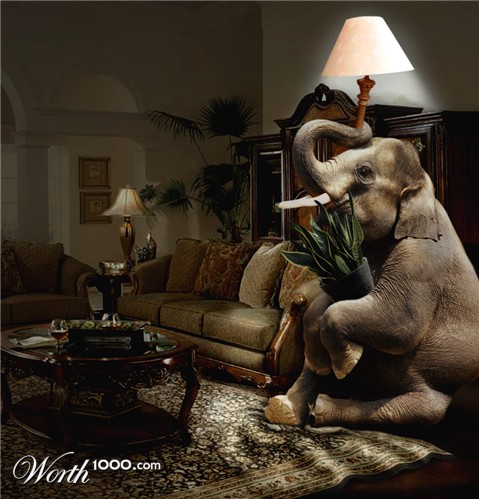 Photoshop Design by DutchPuh