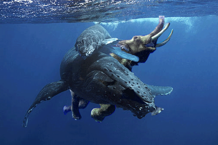 Photoshop Design by PeterAAAWelch for DesignCrowd (Community Contests) | Design #8993330