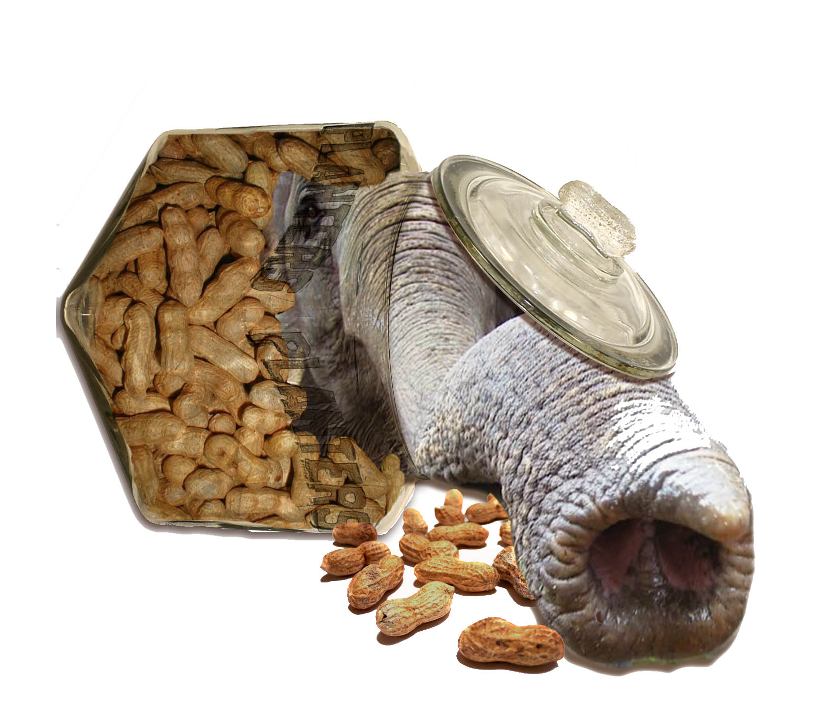 Photoshop Design by clb1122 for DesignCrowd (Community Contests) | Design #8993434