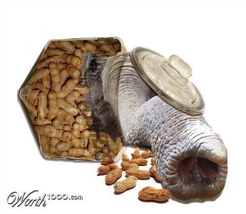 Photoshop Design by clb1122