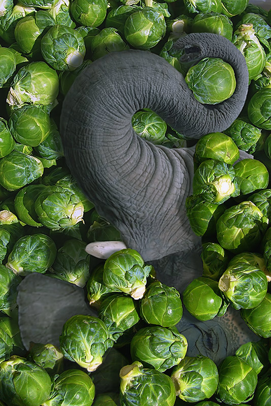 Photoshop-Design von EyEars für DesignCrowd (Community Contests) | Design #8993401