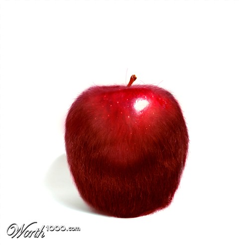 Photoshop Design by nutchaya