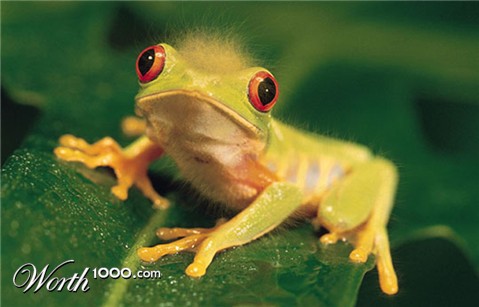 Photoshop Design by phillpsp