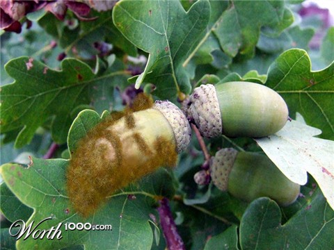 Photoshop Design by Bastrofski