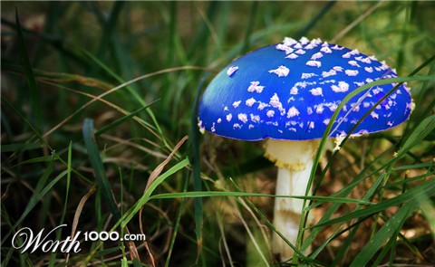 Photoshop Design by Obruni