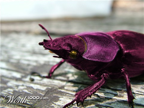 Photoshop Design by fuaath96