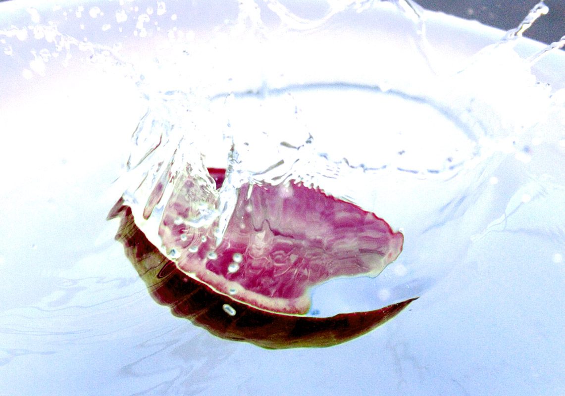 Design Photoshop par Groggie pour DesignCrowd (Community Contests) | Design #8995782