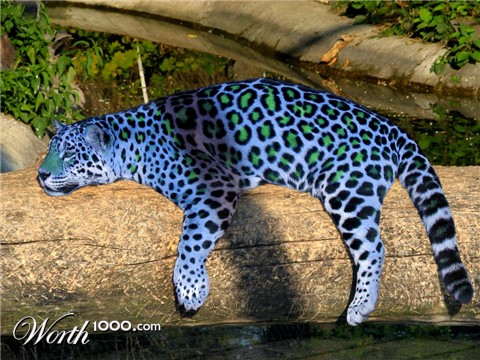 Photoshop Design by celicant