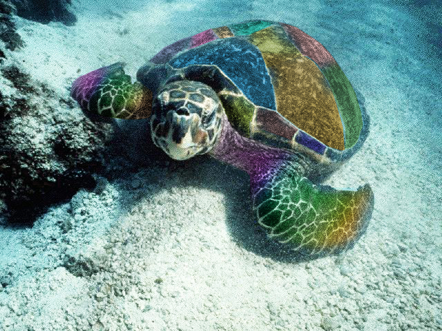 Photoshop Design by asales for DesignCrowd (Community Contests) | Design #8995836