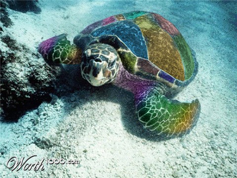 Photoshop Design by asales