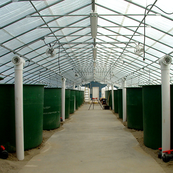 Photographie par jen2203 pour DesignCrowd (Community Contests) | Design #8990430