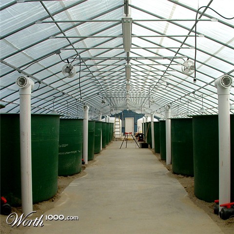 Photography by jen2203