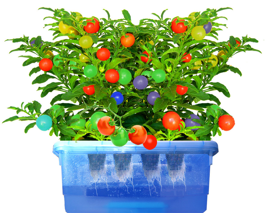 Photoshop Design by markymarkuk for DesignCrowd (Community Contests) | Design #8995891