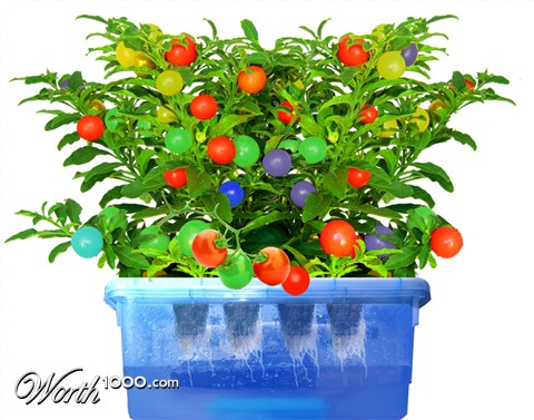 Photoshop Design by markymarkuk