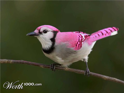 Photoshop Design by RavenNight