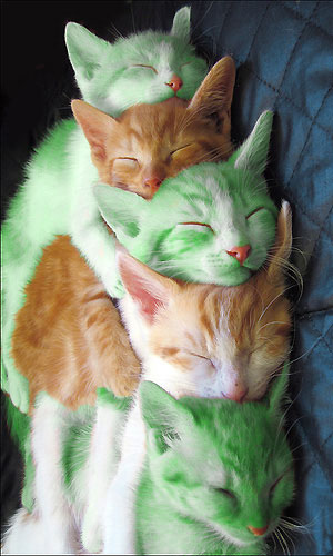 Photoshop Design by evyken for DesignCrowd (Community Contests) | Design #8995930